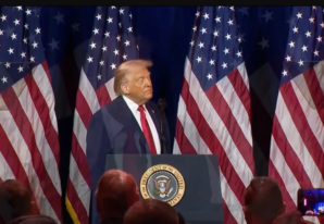 US Midterms 2026: 4 Ways Democrats Could Challenge Trump